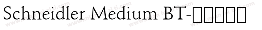 Schneidler Medium BT字体转换